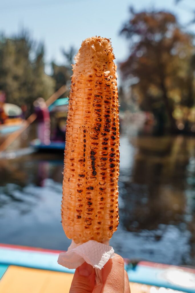 Food at Xochimilco floating gardens.