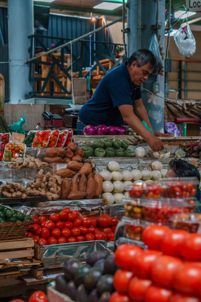 Mercado San Juan Pugibet - one of the best markets in Mexico City.